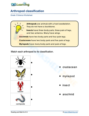 Arthropod classification