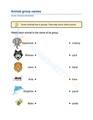 Printable Animal Group Names Worksheet | Grade 3 Science