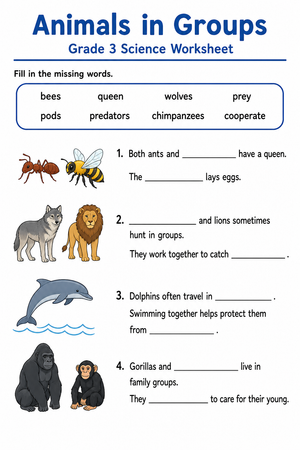 Animals in Groups Worksheet | Essential Grade 3 Science