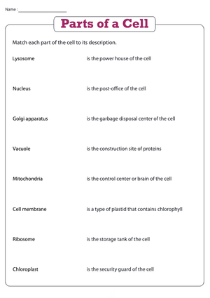 Essential Parts of a Cell Worksheet | Grade 4 Science