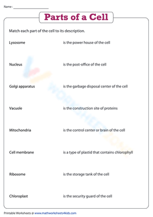 Parts of a Cell