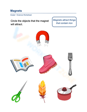 Grade 1 Magnets — Printable No-Prep Worksheet