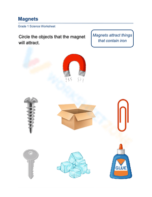 Printable Magnets Worksheet | Grade 1 Science