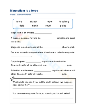 Essential Magnetism Worksheet | Grade 3 Science