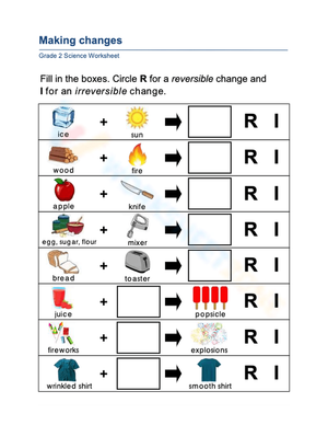 Grade 2 Reversible Changes — Printable No-Prep Worksheet