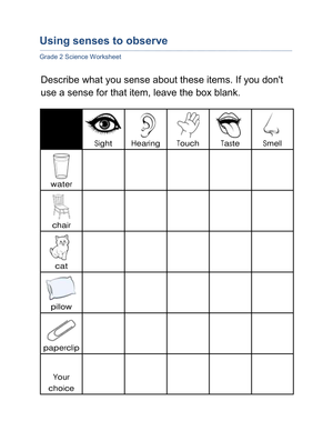 Using Senses to Observe Worksheet | Grade 2 Essential
