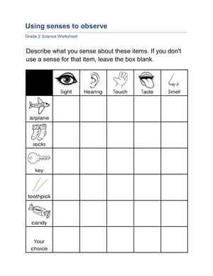 Printable 5 Senses Worksheet | Grade 2 Science