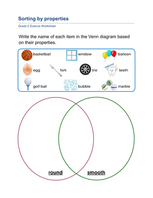 Sorting by Properties Worksheet | Grade 2 Essential