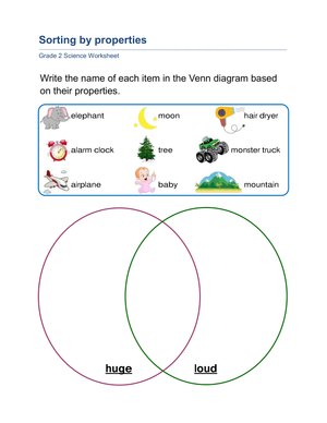 Sorting by Properties Worksheet | Grade 2 Essential