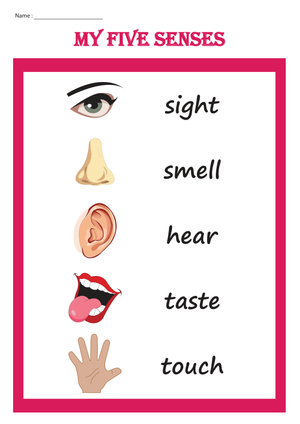 Printable Five Senses Chart | Grade K Science
