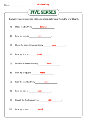 Five Senses Worksheet | Printable Kindergarten Science