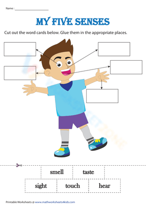 My five senses - Cut and paste