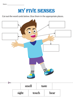 Printable Five Senses Cut and Paste Worksheet | Grade K-2