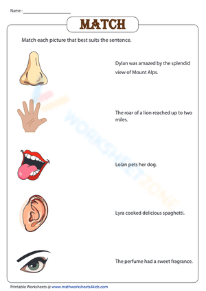 Five senses - Matching