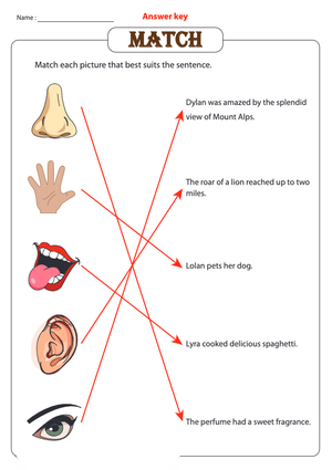 Grade K Five Senses — Printable No-Prep Worksheet