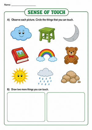Sense of Touch Worksheet | Grade K-1 Printable