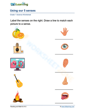 Using our 5 senses 3
