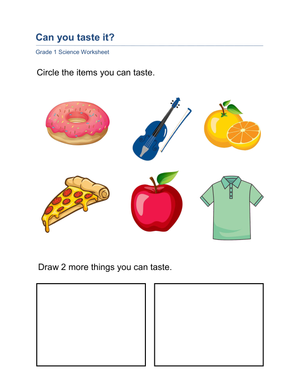 Grade 1 Sense of Taste — Printable No-Prep Worksheet