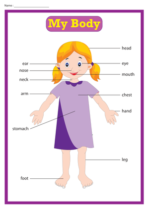 My Body Parts Chart | Essential Grade K-2 Science