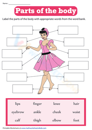 Parts of the body - Label