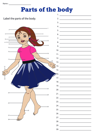 Grade K Human Body Parts — Printable No-Prep Worksheet