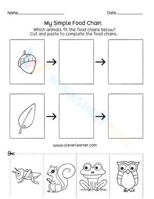 My simple food chain