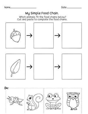 Simple Food Chain Worksheet | Printable Grade 1 Science