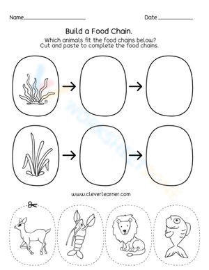 Build a food chain 1
