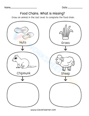 Food chains - What is missing?