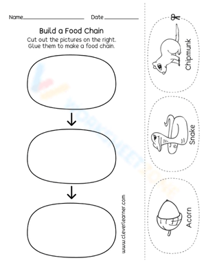 Build a food chain 2