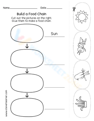 Build a food chain 3