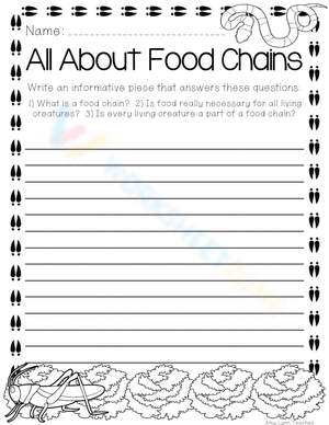 Food Chains - Background Knowledge