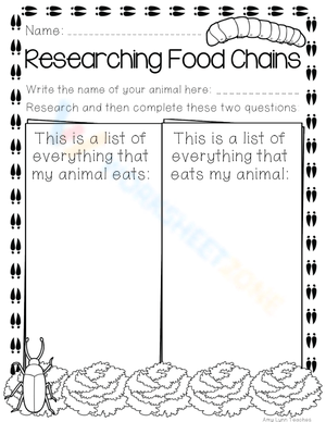 Food Chains Under the Sea