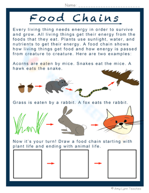 Understanding Food Chains | Grade 2 Science Worksheet