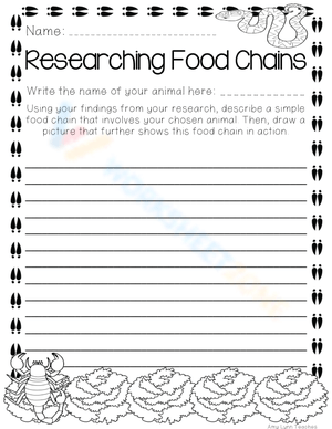 Researching Food Chains 2