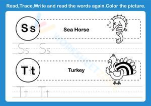 Read, trace, and write - Letters S & T