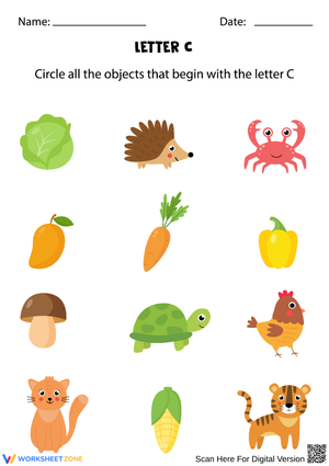 Letter C Recognition Worksheet for Early Learners