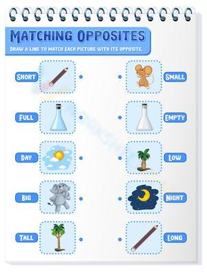 Matching opposites 2