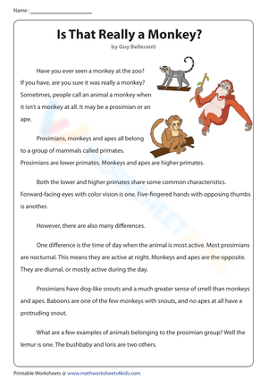 Is That Really a Monkey?