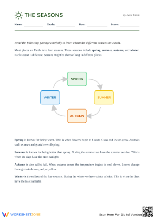 Grade 3 The Seasons — Printable No-Prep Worksheet