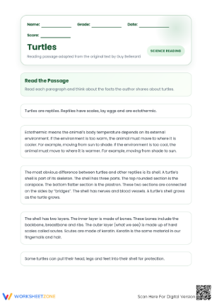 Printable Turtles Reading Comprehension Worksheet | Grade 3