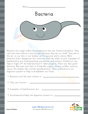 Bacteria