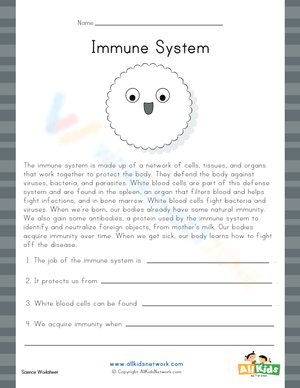 Immune System