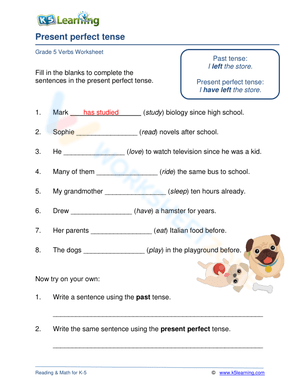 Present perfect tense 4