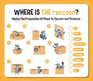 Where is the raccoon?