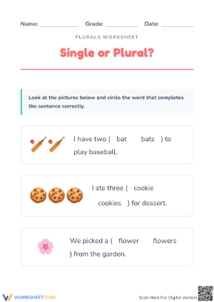 Preschool Singular and Plural Nouns | Essential Worksheet