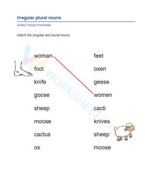 Matching Irregular Plural Nouns Activity