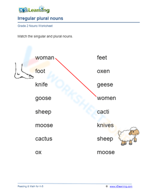 Matching Irregular Plural Nouns Activity
