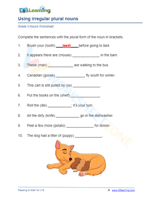 Using irregular plural nouns 1