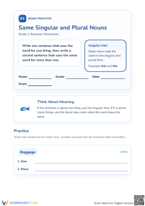 Essential Singular and Plural Nouns Worksheet | Grade 1